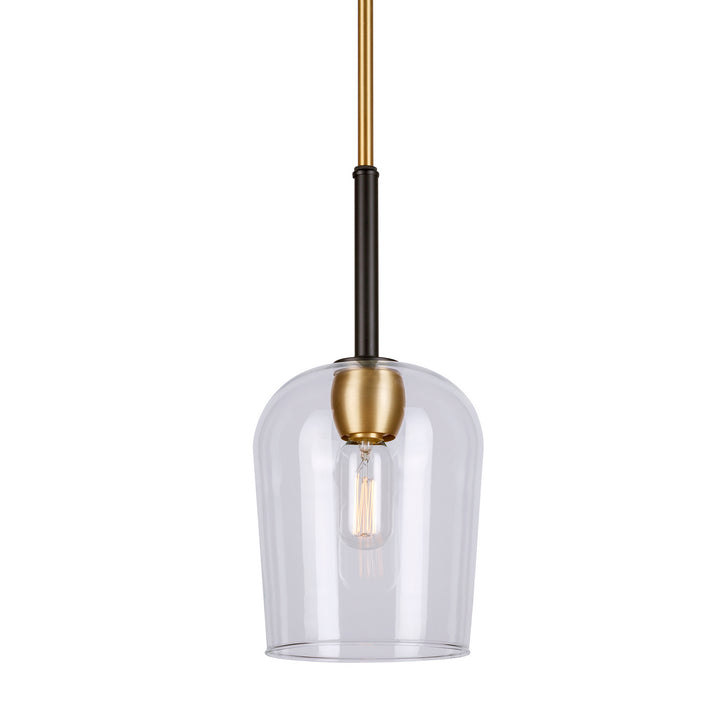 Forte Palmer 2726-01-62 Pendant Light - Black and Soft Gold