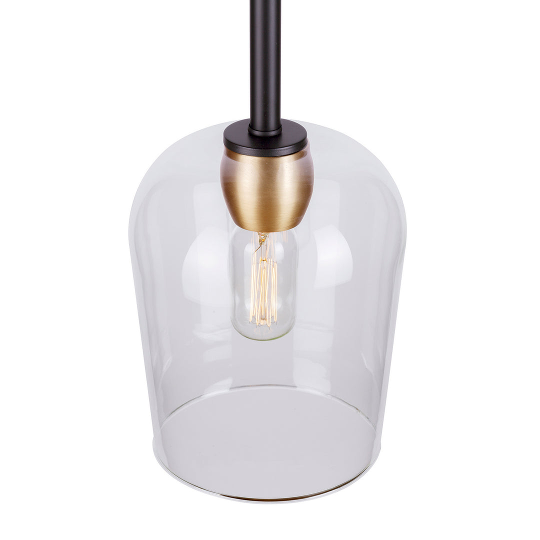 Forte Palmer 2726-01-62 Pendant Light - Black and Soft Gold