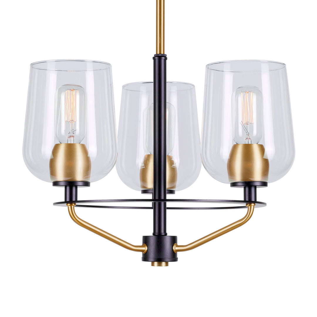 Forte Palmer 2726-03-62 Chandelier Light - Black and Soft Gold