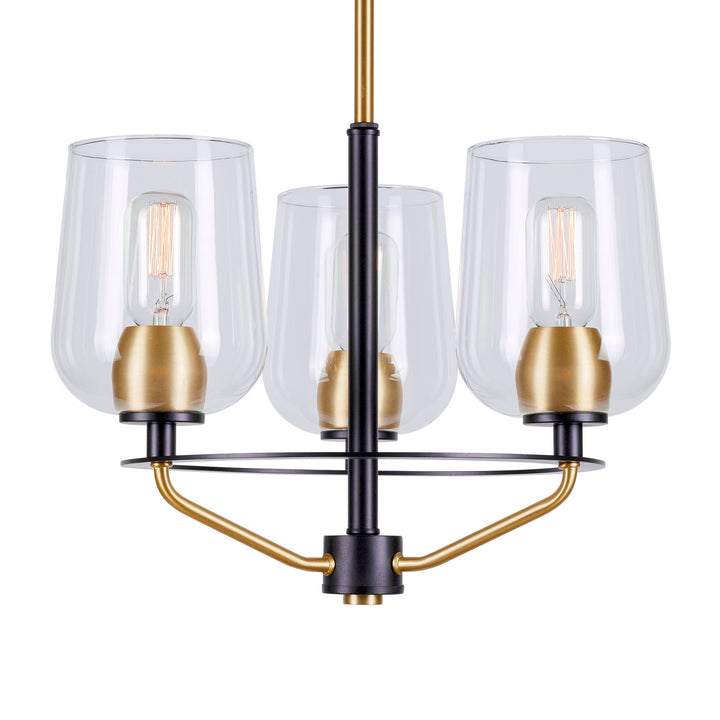 Forte Palmer 2726-03-62 Chandelier Light - Black and Soft Gold