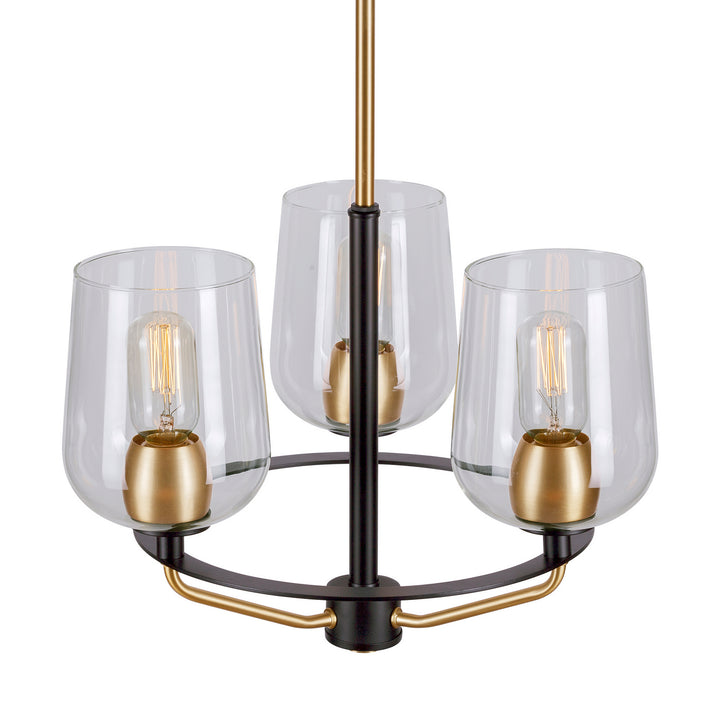 Forte Palmer 2726-03-62 Chandelier Light - Black and Soft Gold