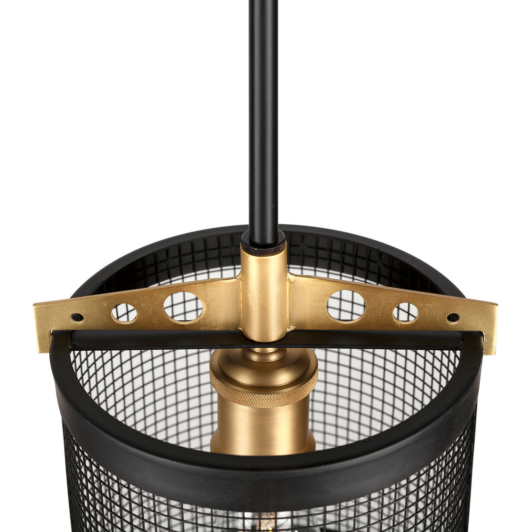 Forte Takoma 7119-01-62 Pendant Light - Black and Soft Gold