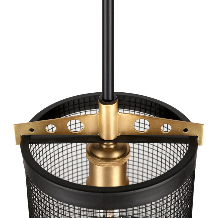 Forte Takoma 7119-01-62 Pendant Light - Black and Soft Gold
