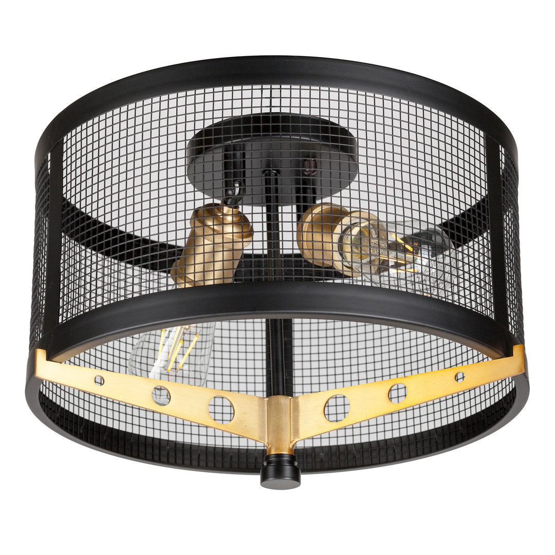 Forte Takoma 7119-02-62 Ceiling Light - Black and Soft Gold