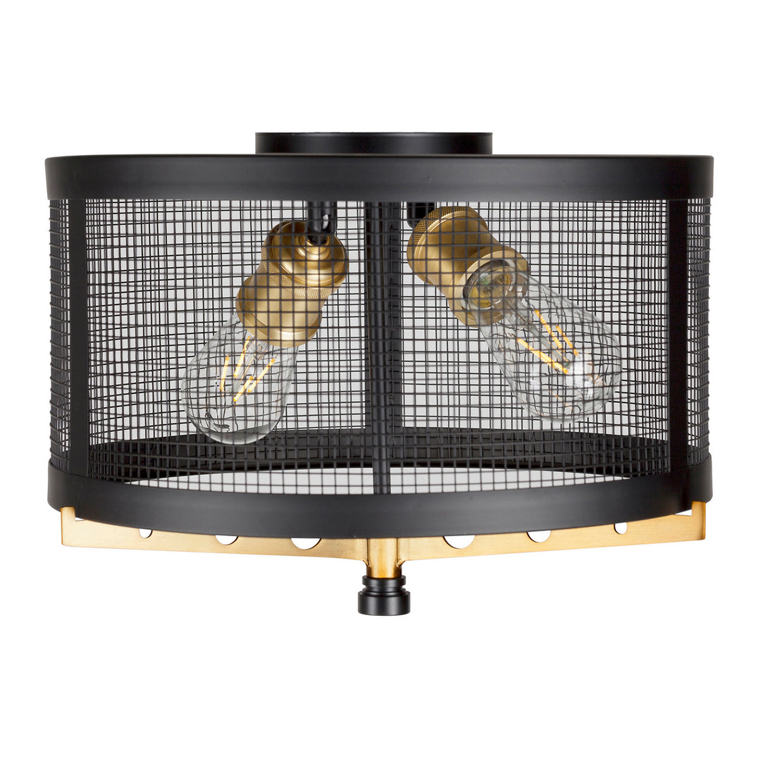 Forte Takoma 7119-02-62 Ceiling Light - Black and Soft Gold