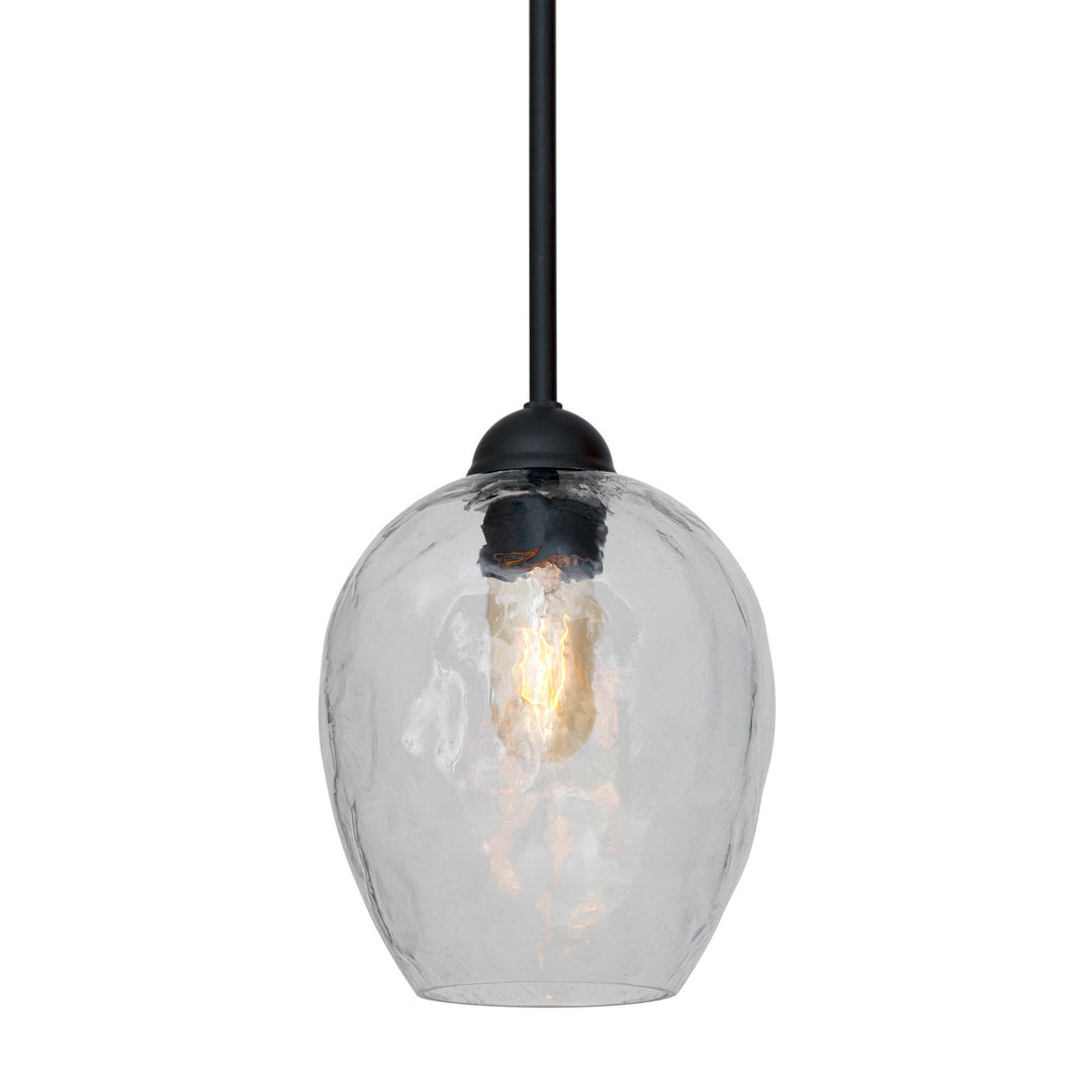 Forte Olivia 2755-01-04 Pendant Light - Black