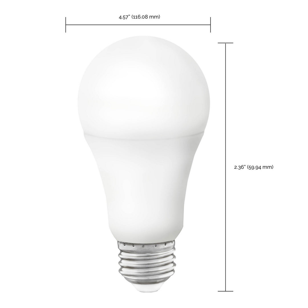 Satco Lighting S11252   Light Bulb White