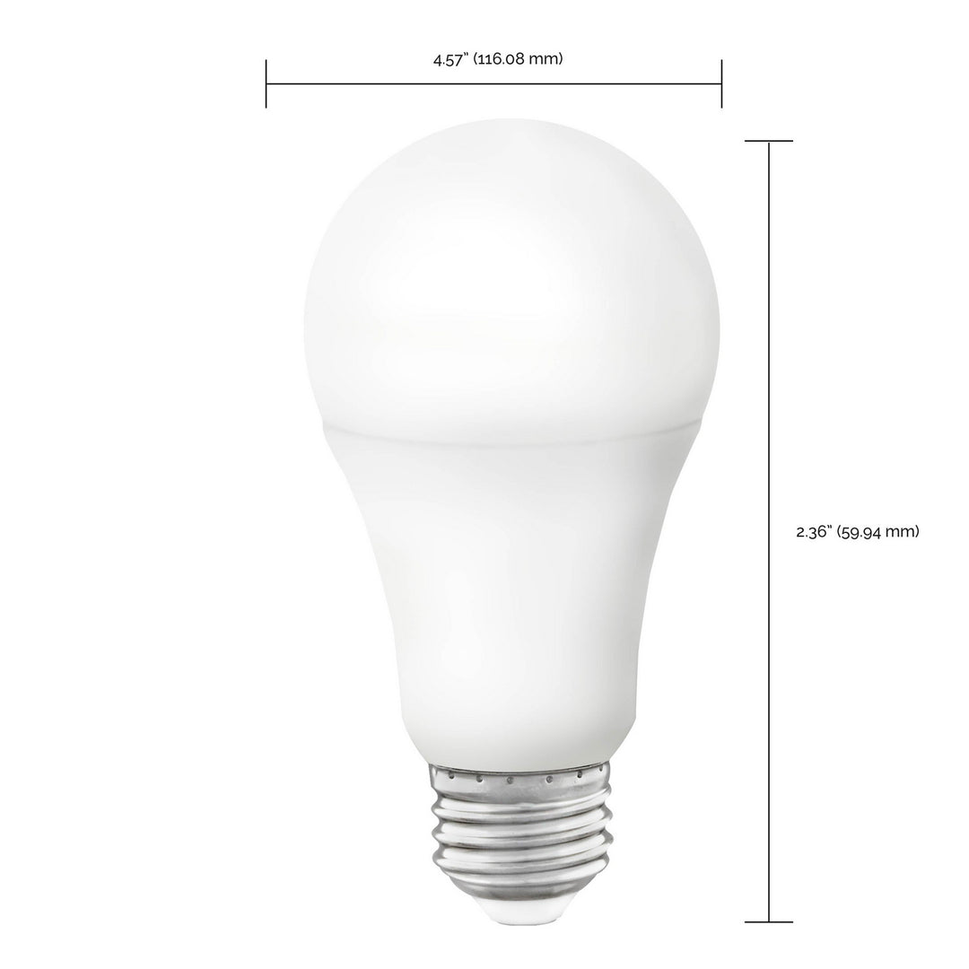 Satco Lighting S11253   Light Bulb White