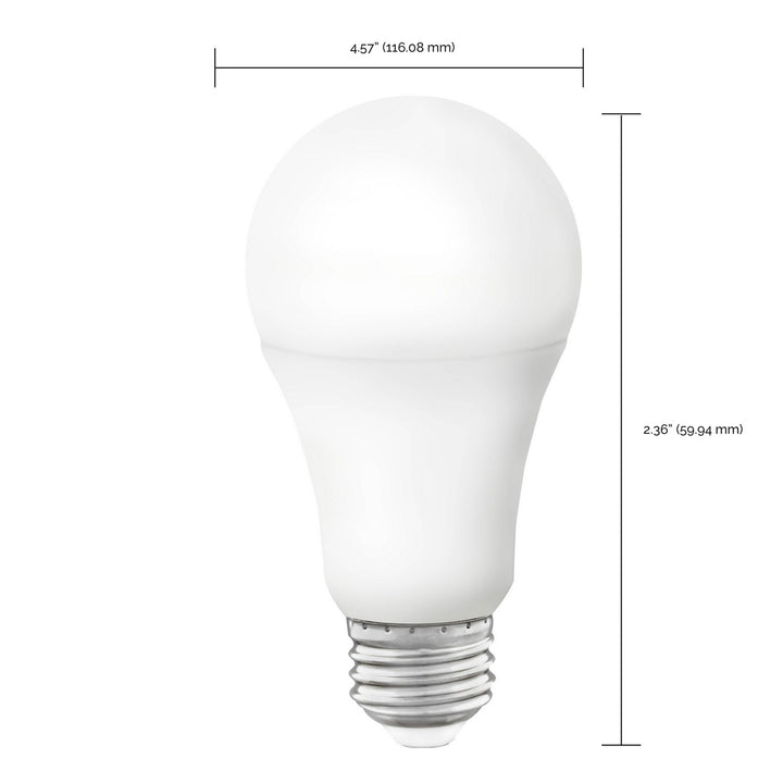 Satco Lighting S11253   Light Bulb White