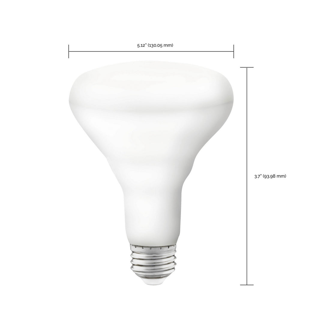 Satco Lighting S11255   Light Bulb White