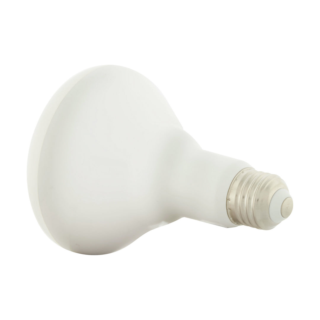 Satco Lighting S11257   Light Bulb White