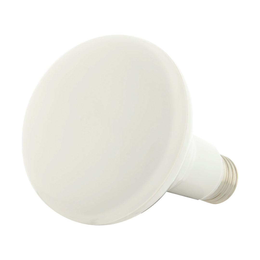 Satco Lighting S11257   Light Bulb White
