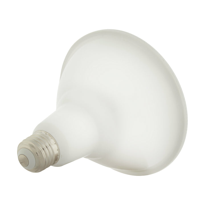 Satco Lighting S11258   Light Bulb Clear