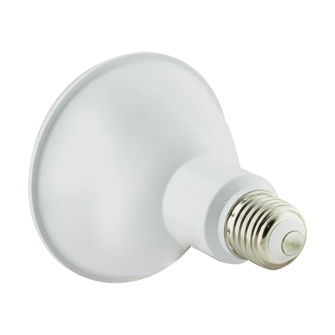 Satco Lighting S29189   Light Bulb Clear