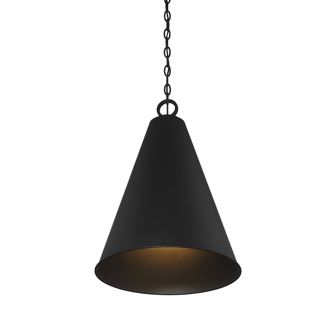 Meridian M70112MBK Pendant Light - Matte Black