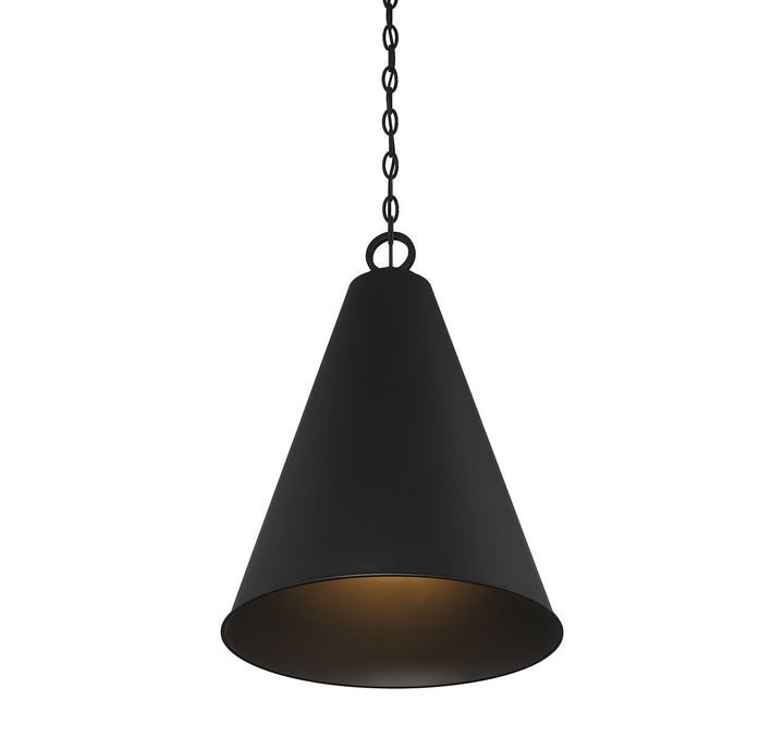 Meridian M70112MBK Pendant Light - Matte Black