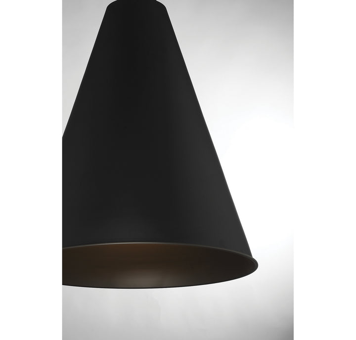 Meridian M70112MBK Pendant Light - Matte Black