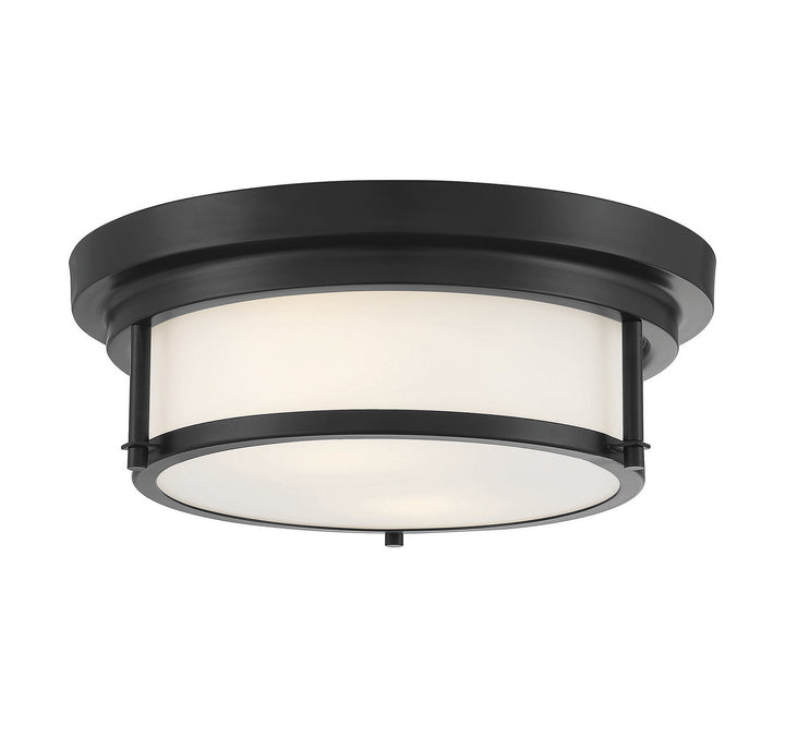 Meridian M60062MBK Ceiling Light - Matte Black