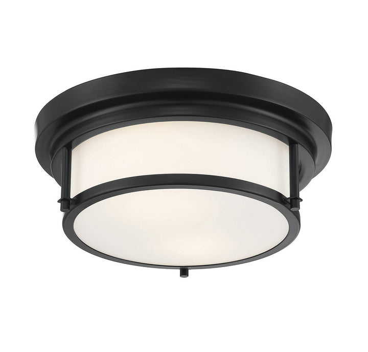Meridian M60062MBK Ceiling Light - Matte Black