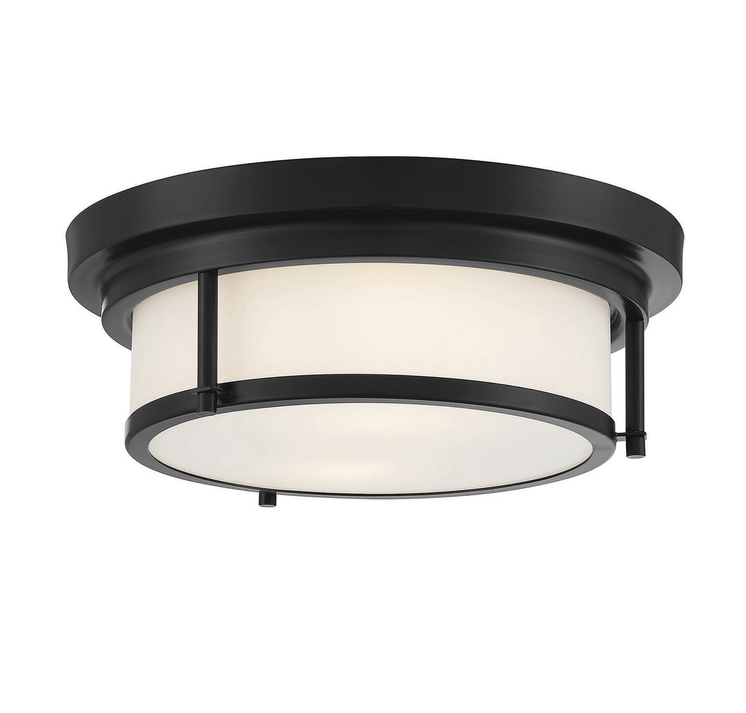 Meridian M60062MBK Ceiling Light - Matte Black