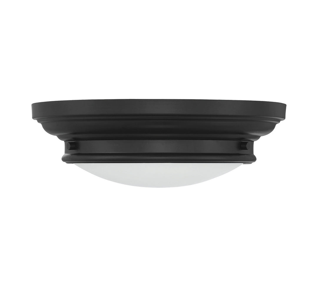 Meridian M60063MBK Ceiling Light - Matte Black