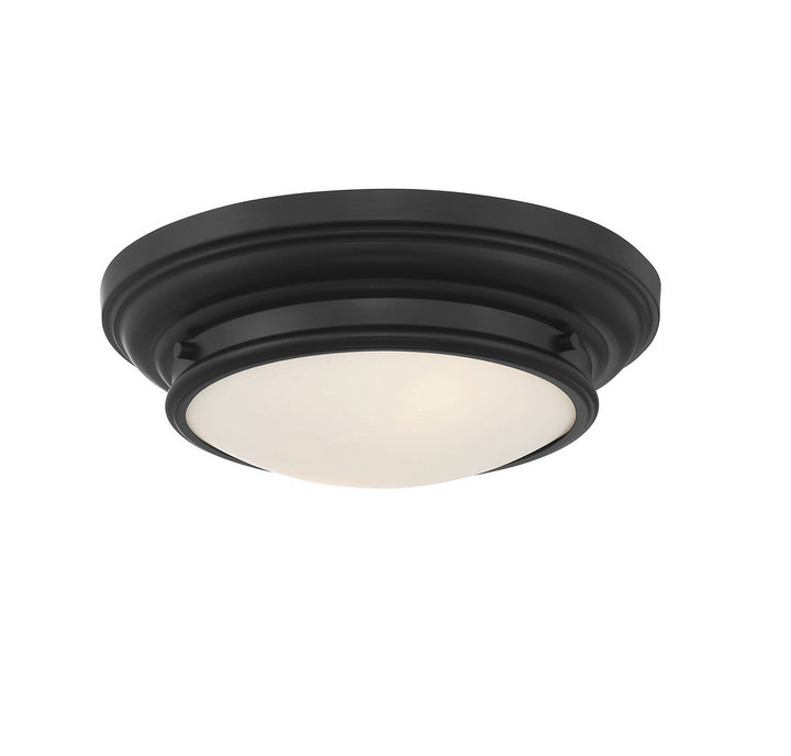 Meridian M60063MBK Ceiling Light - Matte Black
