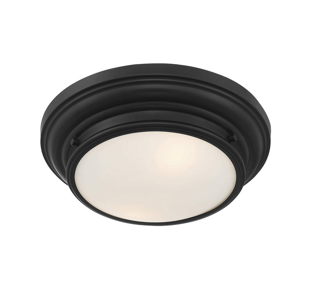 Meridian M60063MBK Ceiling Light - Matte Black