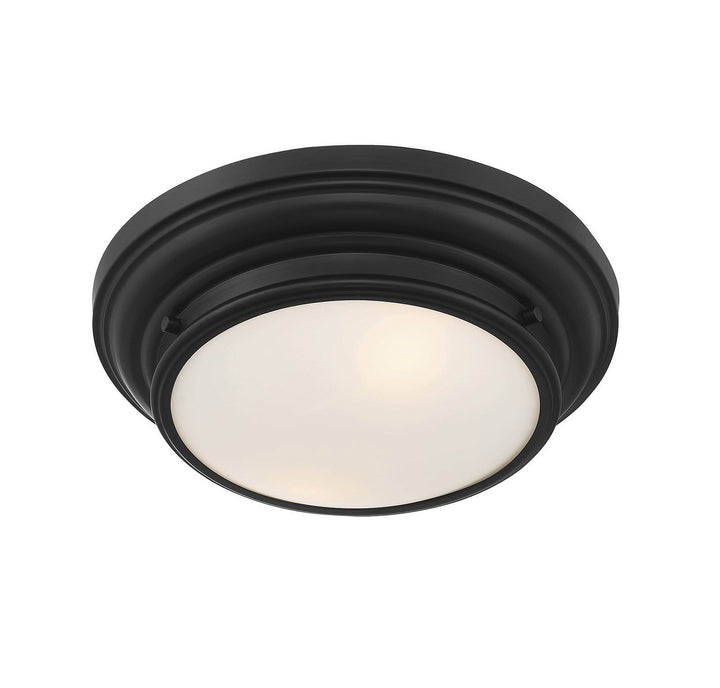 Meridian M60063MBK Ceiling Light - Matte Black