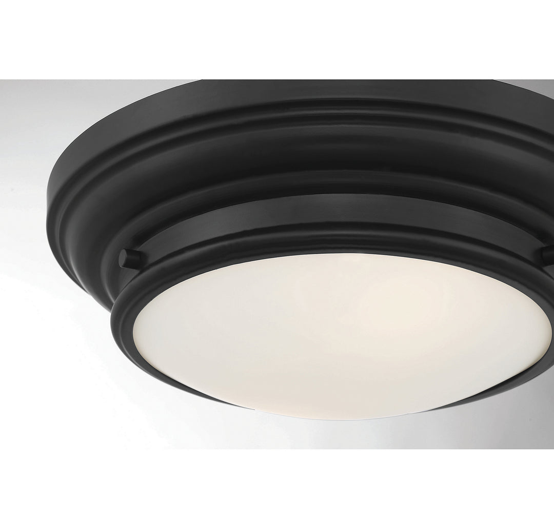 Meridian M60063MBK Ceiling Light - Matte Black