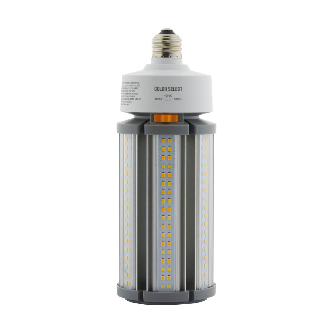Satco Lighting S13140   Light Bulb Clear