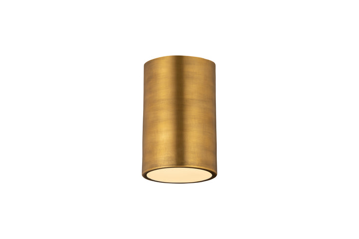 Z-Lite Harley 2302F1-RB Ceiling Light - Rubbed Brass