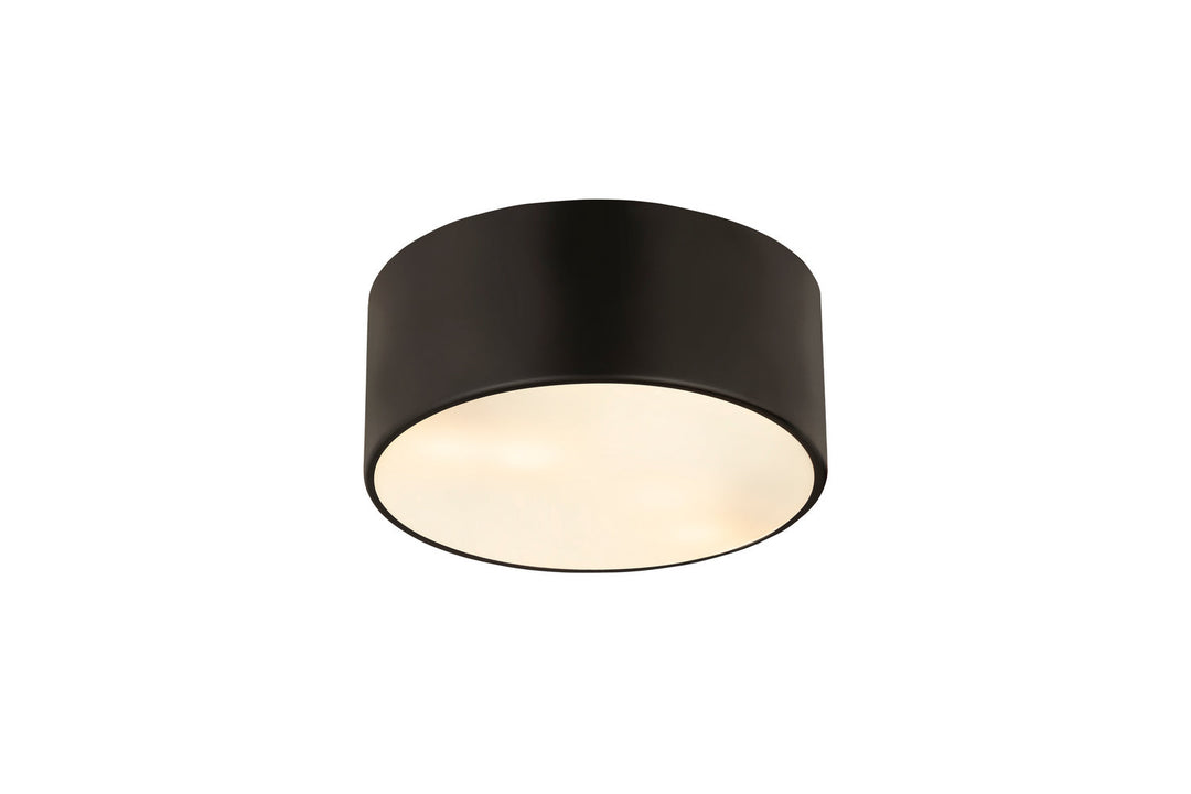 Z-Lite Harley 2302F2-MB Ceiling Light - Matte Black