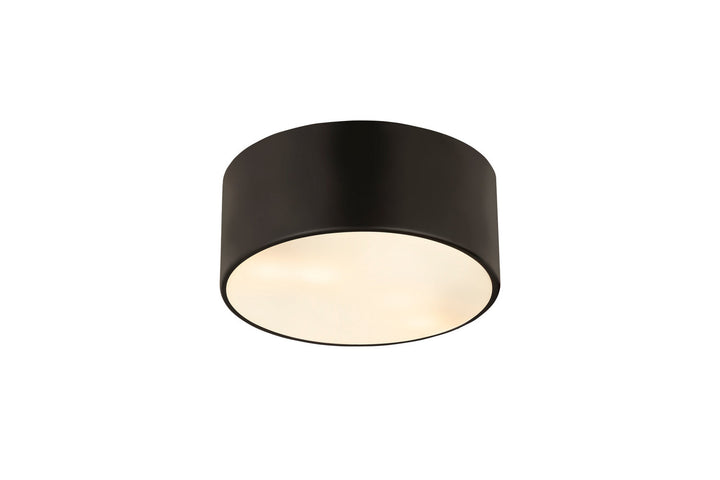 Z-Lite Harley 2302F2-MB Ceiling Light - Matte Black