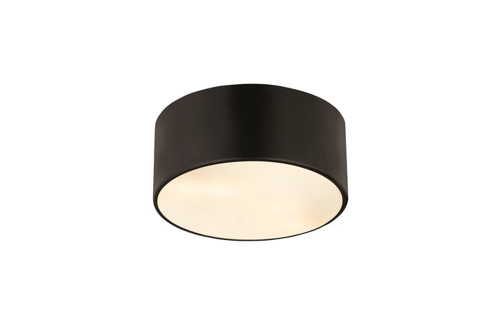 Z-Lite Harley 2302F2-MB Ceiling Light - Matte Black