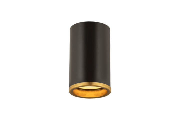 Z-Lite Arlo 2303F1-MB-RB Ceiling Light - Matte Black / Rubbed Brass