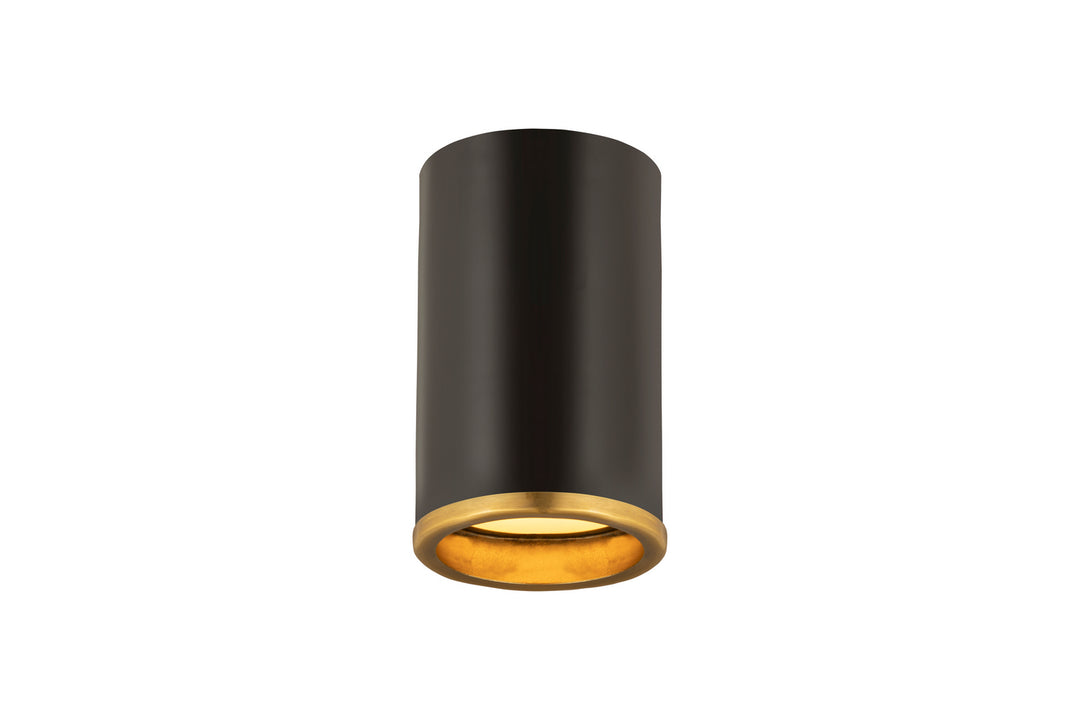 Z-Lite Arlo 2303F1-MB-RB Ceiling Light - Matte Black / Rubbed Brass