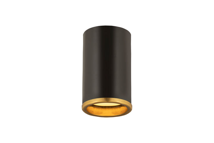 Z-Lite Arlo 2303F1-MB-RB Ceiling Light - Matte Black / Rubbed Brass