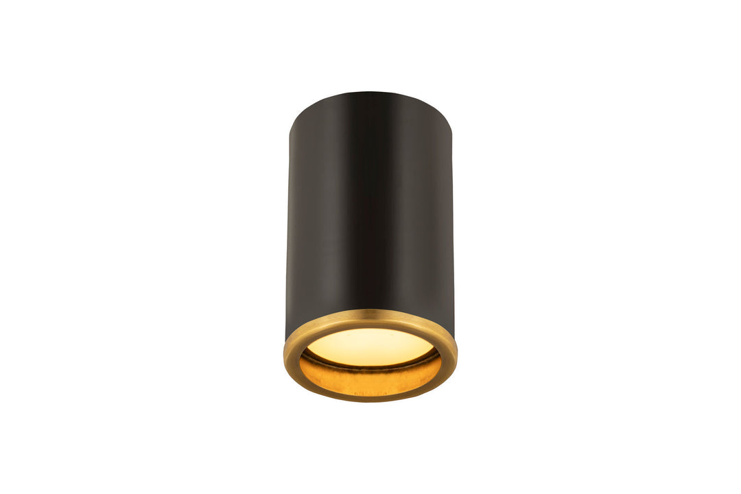 Z-Lite Arlo 2303F1-MB-RB Ceiling Light - Matte Black / Rubbed Brass