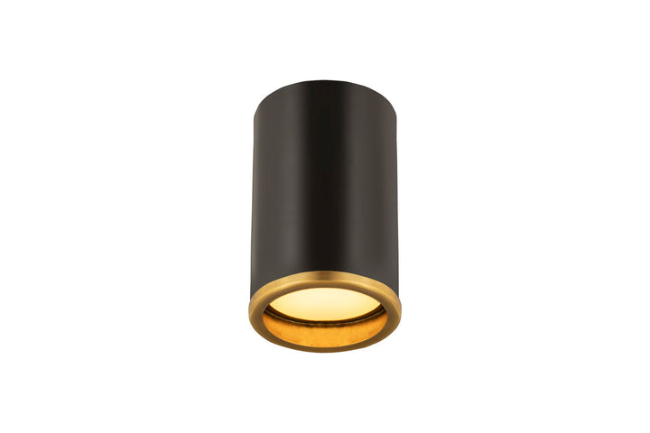 Z-Lite Arlo 2303F1-MB-RB Ceiling Light - Matte Black / Rubbed Brass
