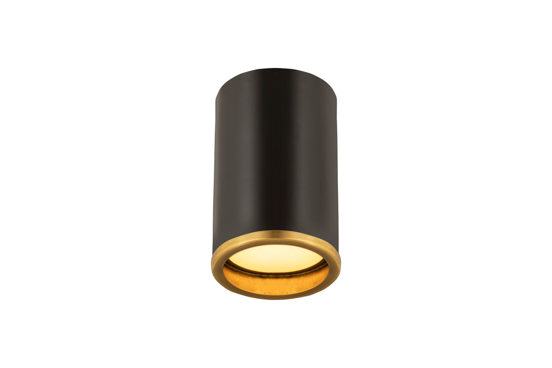 Z-Lite Arlo 2303F1-MB-RB Ceiling Light - Matte Black / Rubbed Brass