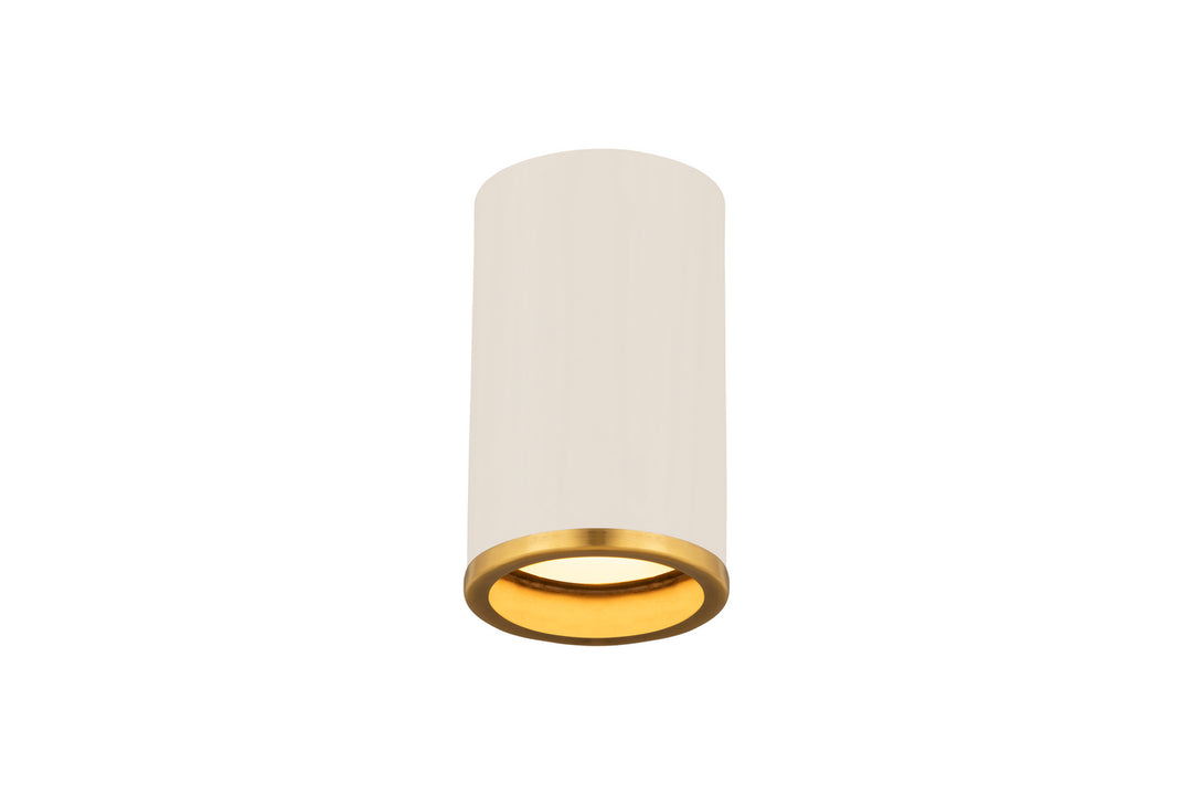 Z-Lite Arlo 2303F1-MW-RB Ceiling Light - Matte White / Rubbed Brass
