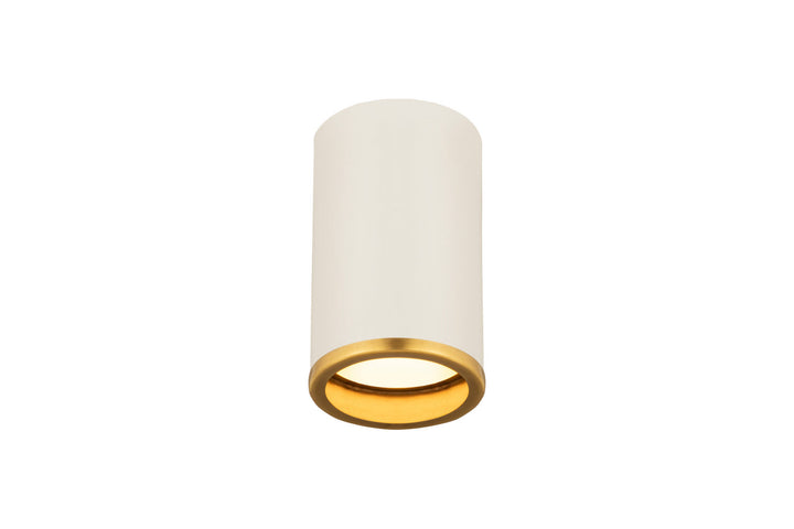 Z-Lite Arlo 2303F1-MW-RB Ceiling Light - Matte White / Rubbed Brass
