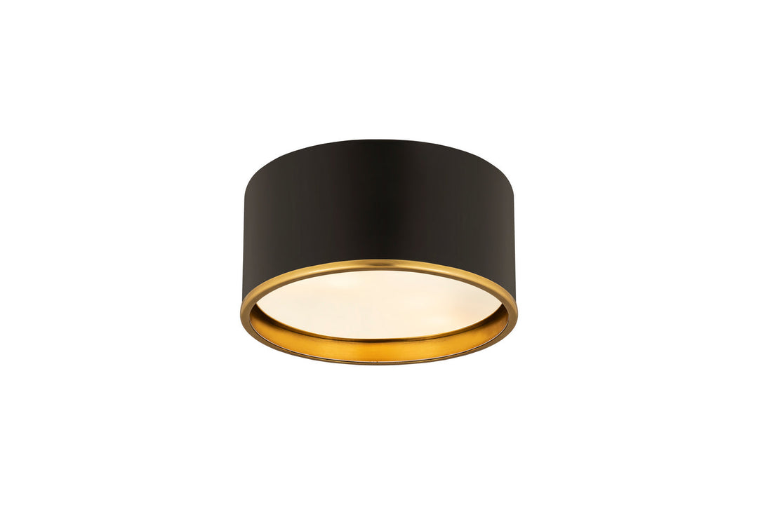Z-Lite Arlo 2303F2-MB-RB Ceiling Light - Matte Black / Rubbed Brass