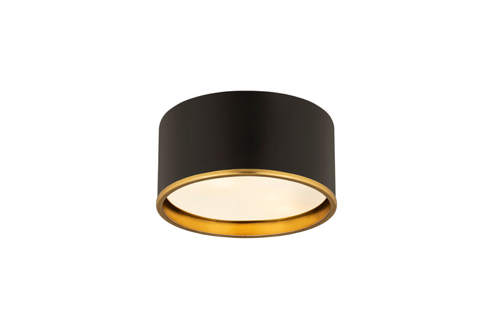 Z-Lite Arlo 2303F2-MB-RB Ceiling Light - Matte Black / Rubbed Brass