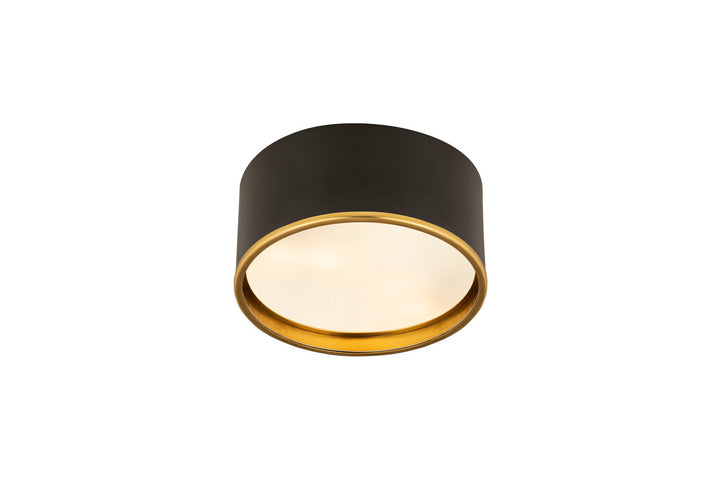 Z-Lite Arlo 2303F2-MB-RB Ceiling Light - Matte Black / Rubbed Brass