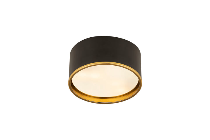 Z-Lite Arlo 2303F2-MB-RB Ceiling Light - Matte Black / Rubbed Brass