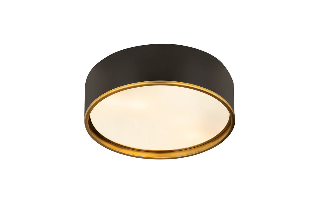 Z-Lite Arlo 2303F4-MB-RB Ceiling Light - Matte Black / Rubbed Brass