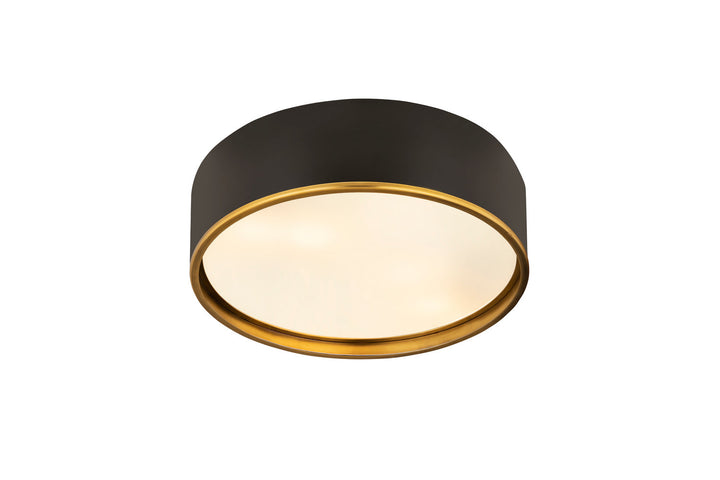 Z-Lite Arlo 2303F4-MB-RB Ceiling Light - Matte Black / Rubbed Brass