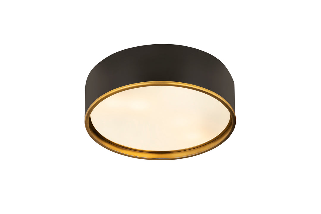 Z-Lite Arlo 2303F4-MB-RB Ceiling Light - Matte Black / Rubbed Brass