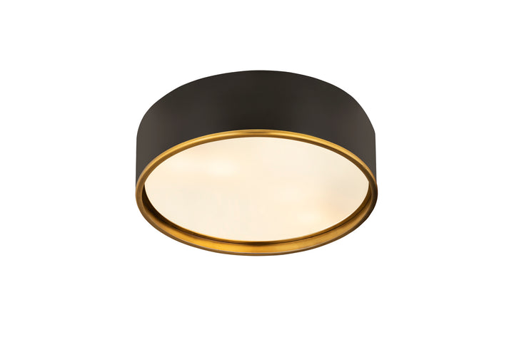 Z-Lite Arlo 2303F4-MB-RB Ceiling Light - Matte Black / Rubbed Brass